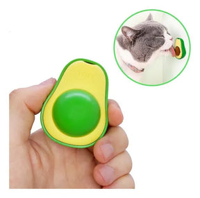 Abacate Catnip Erva Natural - Tartaruga Shop