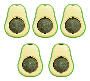 Abacate Catnip Erva Natural - Tartaruga Shop